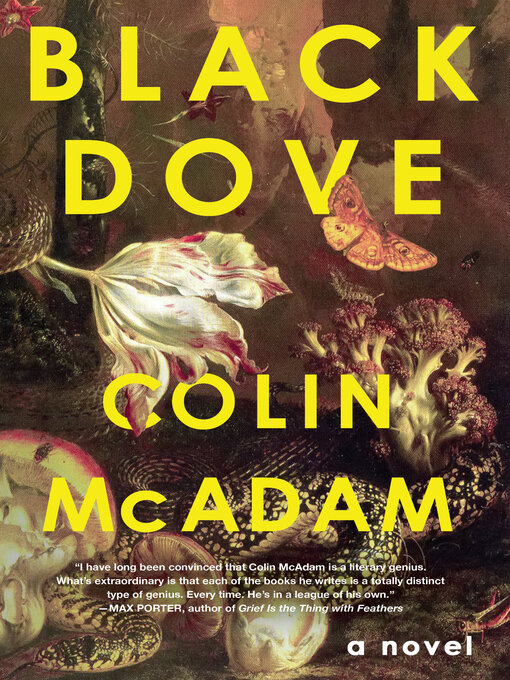 Title details for Black Dove by Colin McAdam - Available